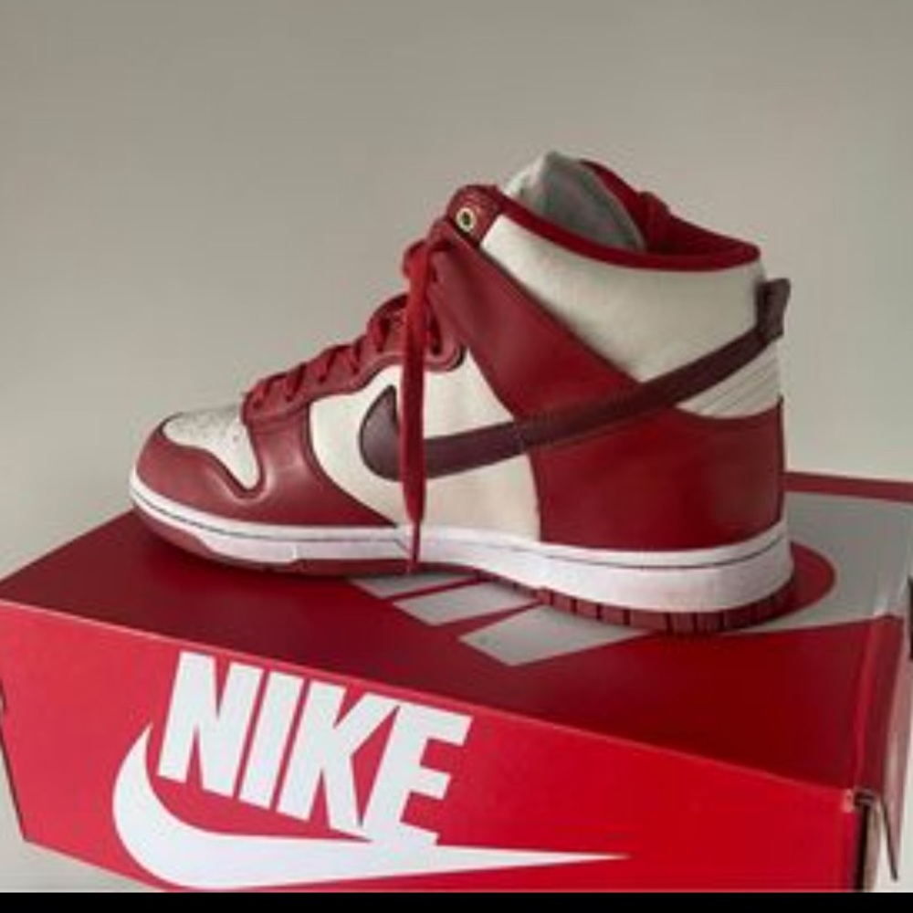 Nike Dunks Hightops